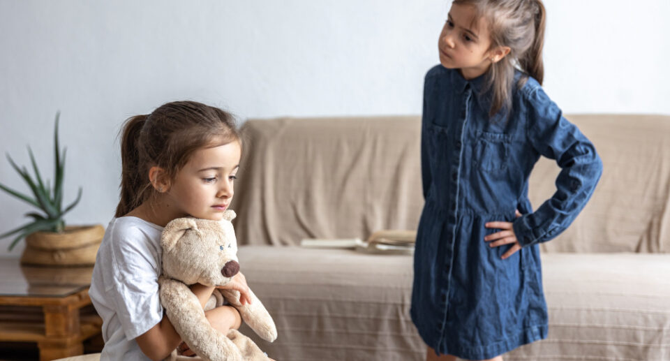 Kardeş Kıskançlığı: Psikolojik Temeller ve Çözüm Yolları